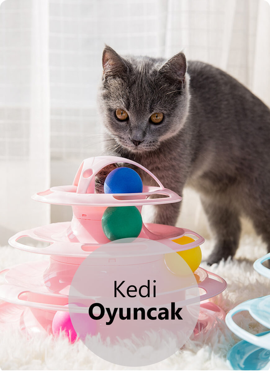 Köpek Mamaları, Kedi Mamaları | En Iyi Fiyat Garantisi